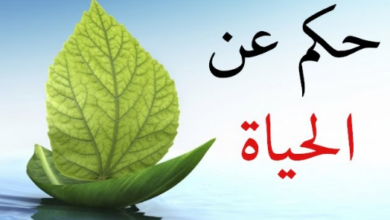 حكم عن الحياة