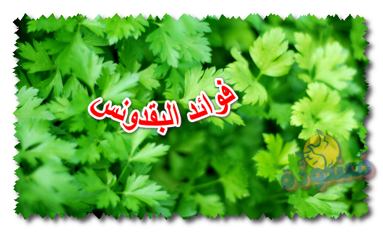 فوائد البقدونس