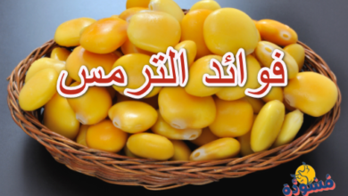 فوائد الترمس